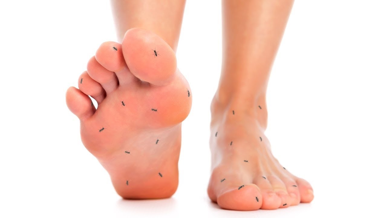 Ayaklarımız Neden Vücudumuza Göre Daha Fazla Üşür?