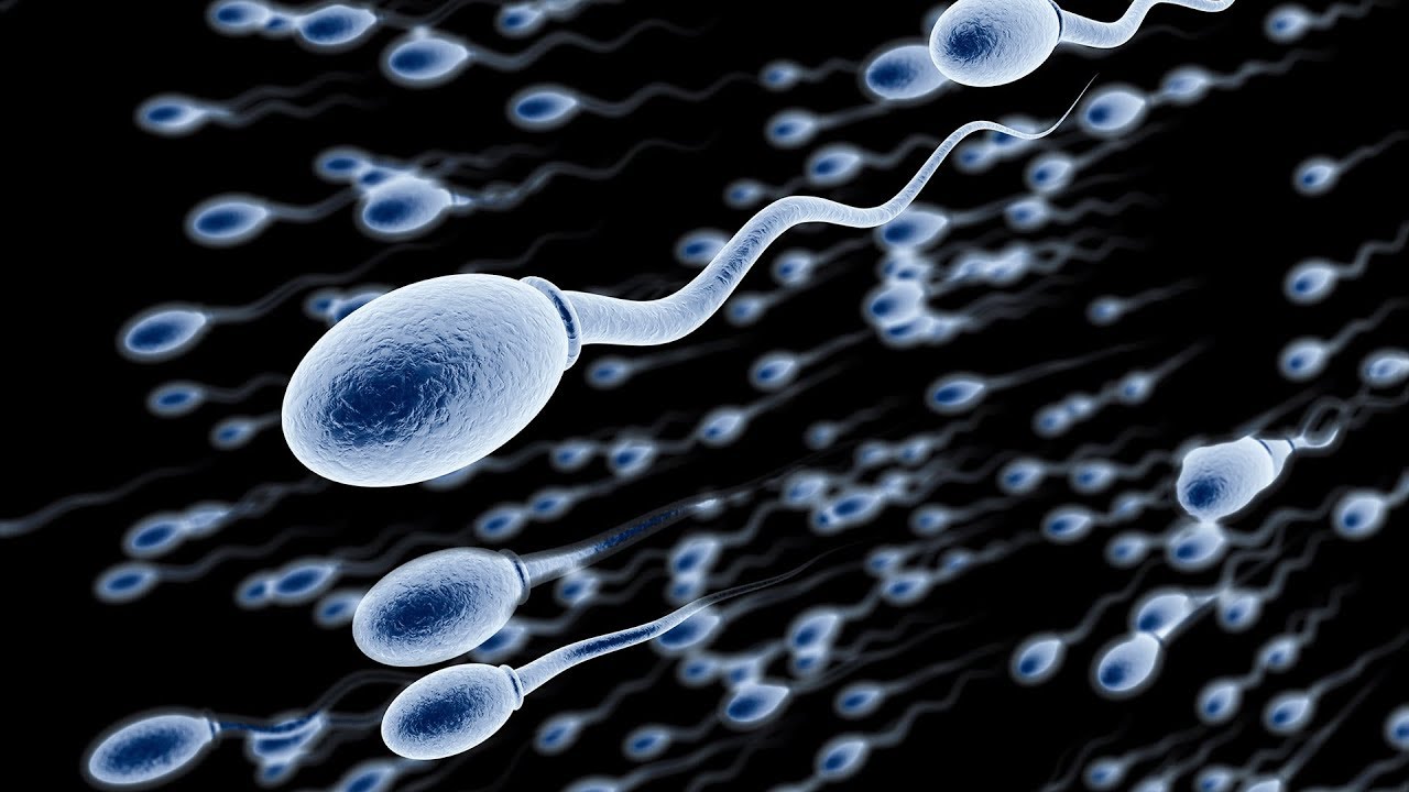 Sağlıklı Çocuk Yapmak İçin Sperm Kalitesini Artırma Yöntemleri